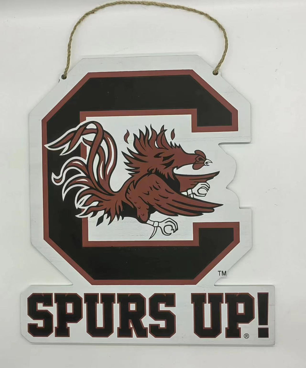 South Carolina Logo Wood Door Hanger